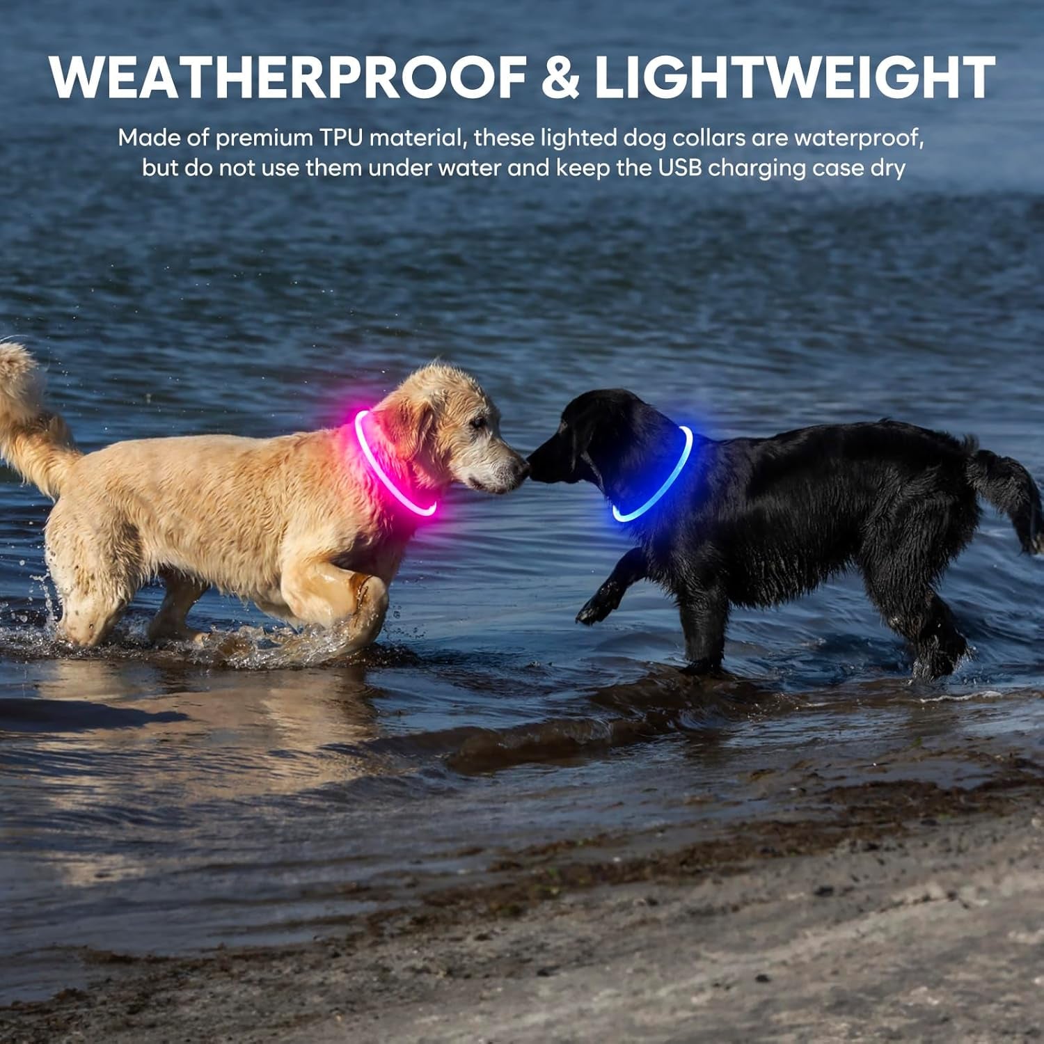Light up Dog Collar - Waterproof LED Dog Collar Rechargeble, TPU Cuttable Glow in the Dark Safety Dog Lights for Night Walking(Blue)