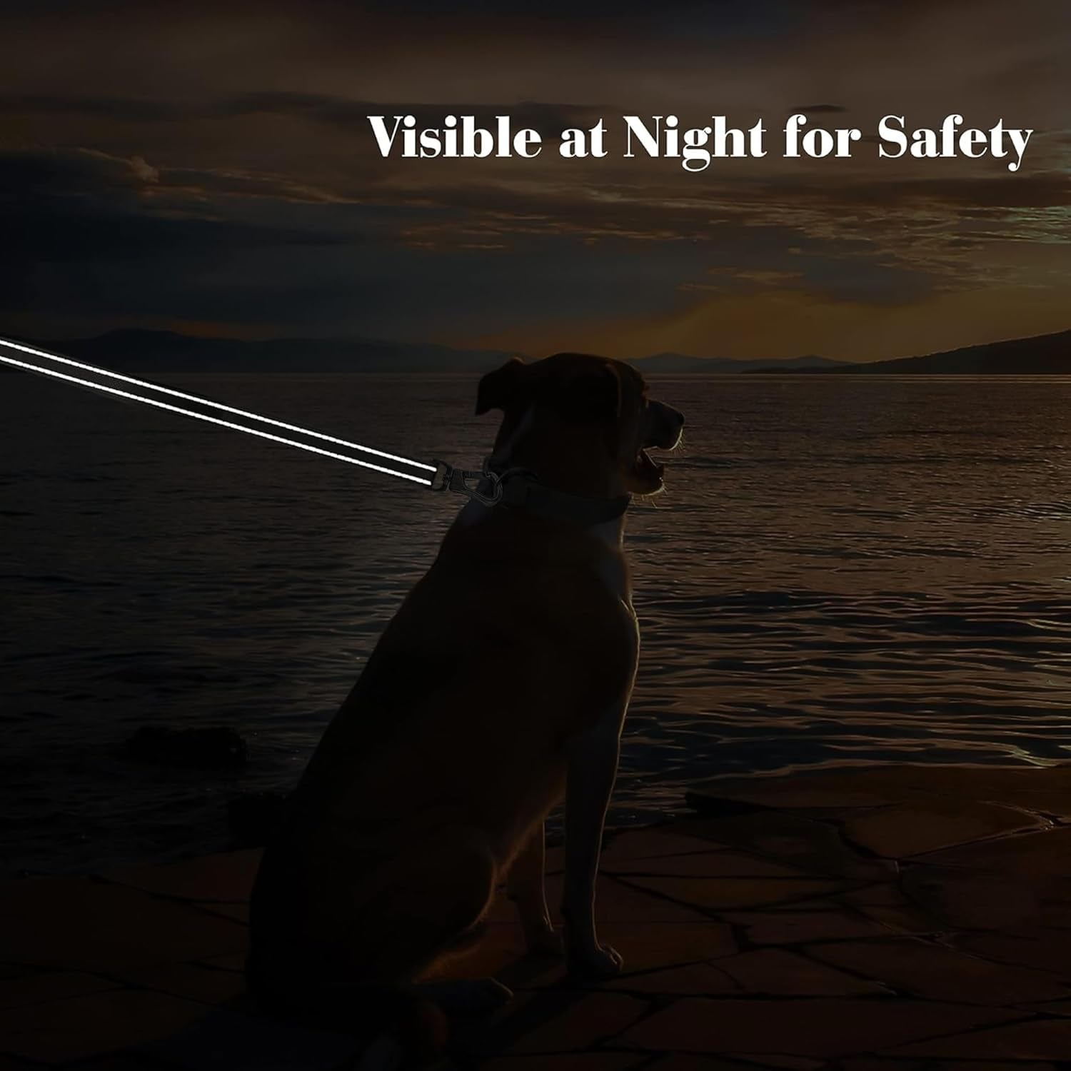 4FT Heavy Duty Dog Leash with Soft Padded Double Handle, Durable Strong Clasp Dog Leashes, Reflective Nylon Walking Lead for Large,Medium,Small Breed Dogs, Red