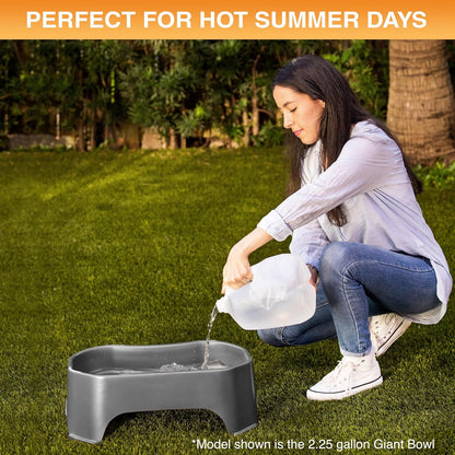 Large Water Bowl for Dogs, Outdoor Dog Water Bowl (1.25 Gallon Extra-Large Capacity), Big Trough Style Food Dish for Indoors or Outside, No Spill Large Dog Bowls, Gunmetal Grey