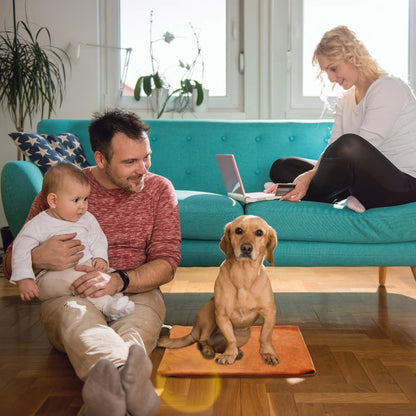 Pet Heating Pad,Cat Dog Electric Pet Heating Pad Indoor Waterproof,Auto Constant Temperature, Chew Resistant Steel Cord (Blue, Large)