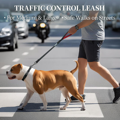 Short Dog Leash Closelyt Traffic Leash for Dog with Soft Padded Handle for Training & Walking, Padded Neoprene & Heavy Duty, 30Inch, Black/Red