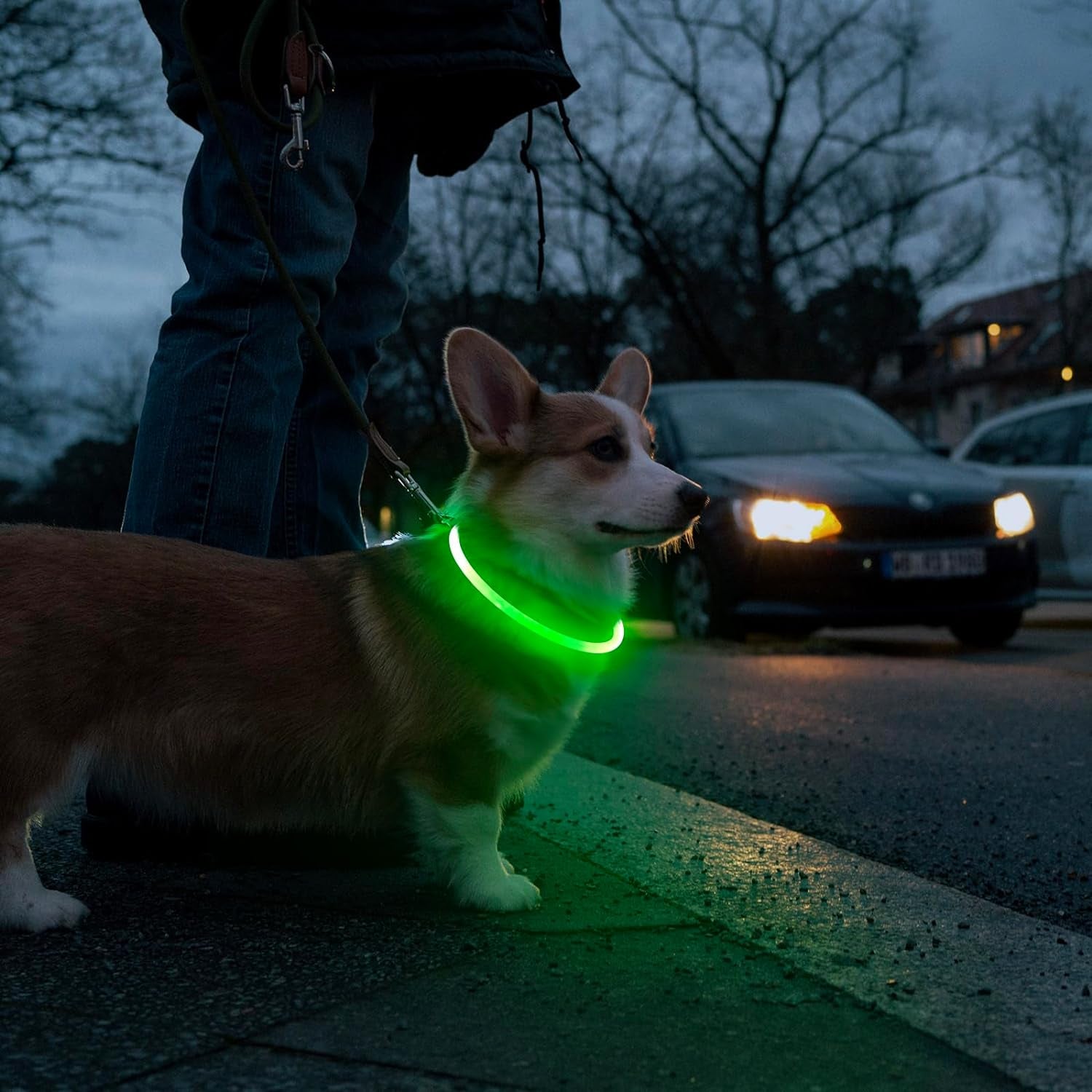 Light up Dog Collars, USB Rechargeable LED Dog Collar, TPU Cuttable Dog Glow Collar, High Visibility Puppy Collar Safety Dog Lights for Night Walking(Green)